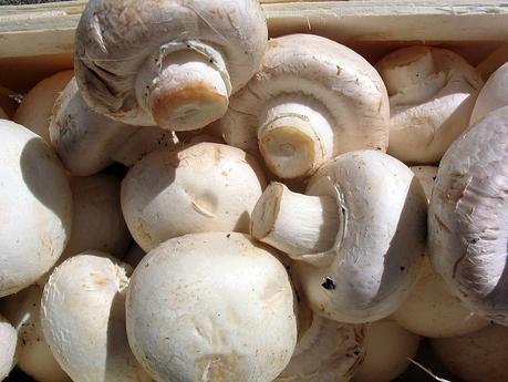 Pourquoi souvent consommer du champignon est bon pour la santé ? Pourquoi souvent consommer du champignon est bon pour la santé ?