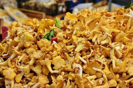 Pourquoi souvent consommer du champignon est bon pour la santé ? Pourquoi souvent consommer du champignon est bon pour la santé ?
