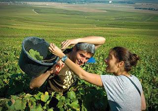 savoir vivre savoir vivre