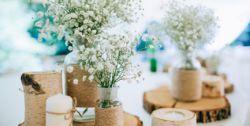 Bulle de Nature, la nouvelle gamme de terrariums signée Botanic Bulle de Nature, la nouvelle gamme de terrariums signée Botanic