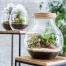 Bulle de Nature, la nouvelle gamme de terrariums signée Botanic Déco nature : la nouvelle collection de terrariums autonomes Bulle de nature de Botanic a été dessinée, imaginée et composée dans le Sud de la France.