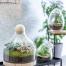 Bulle de Nature, la nouvelle gamme de terrariums signée Botanic Déco nature : la nouvelle collection de terrariums autonomes Bulle de nature de Botanic a été dessinée, imaginée et composée dans le Sud de la France.