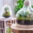Bulle de Nature, la nouvelle gamme de terrariums signée Botanic Déco nature : la nouvelle collection de terrariums autonomes Bulle de nature de Botanic a été dessinée, imaginée et composée dans le Sud de la France.