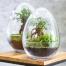 Bulle de Nature, la nouvelle gamme de terrariums signée Botanic Déco nature : la nouvelle collection de terrariums autonomes Bulle de nature de Botanic a été dessinée, imaginée et composée dans le Sud de la France.