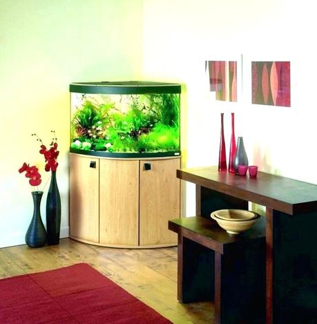 modern fish tank contemporary fish tank small modern fish tank small modern fish tank pictures singular living room picture contemporary fish tank edge com enclosed modern modern fish tank ideas