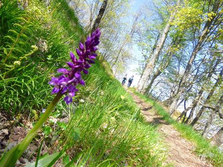 Escapade sportive, gourmande et détente au Domaine du Hirtz