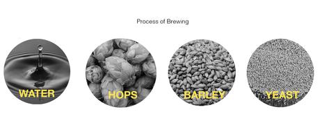 Conception intégrée – Microbrasserie – Callum von Domarus
– Artisan Brasseur Conception intégrée – Microbrasserie – Callum von Domarus
– Artisan Brasseur