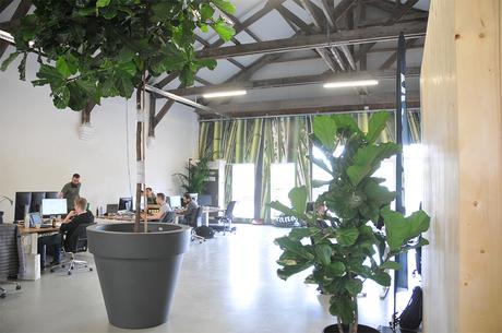 Bouw7 dans un nouvel emplacement à Dokkum: Bouw7 dans un nouvel emplacement à Dokkum: