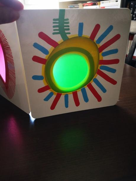 Fleurs ! de Hervé Tullet