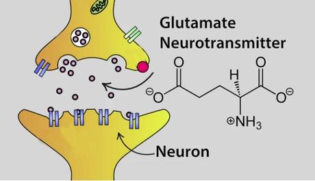 Des structures nerveuses endommagées signifient que des charges de glutamate s'infiltrent dans des espaces extérieurs aux cellules, les excitant et les endommageant. 