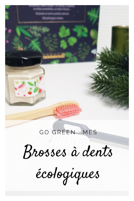 Go Green : 2 alternatives aux brosses à dents en plastique