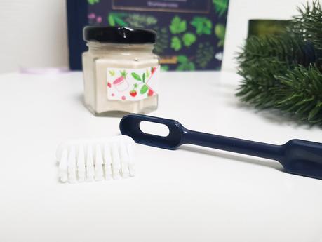Go Green : 2 alternatives aux brosses à dents en plastique