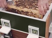 plus petit McDonald’s monde ouvre portes… pour abeilles
