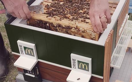 Le plus petit McDonald’s du monde ouvre ses portes… pour les abeilles Le plus petit McDonald’s du monde ouvre ses portes… pour les abeilles