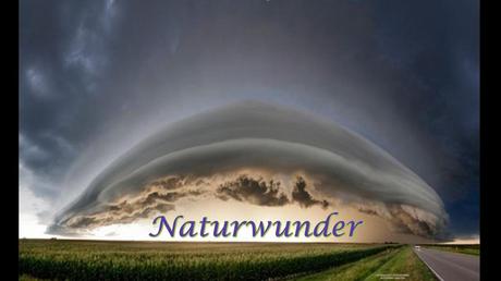 Divers - L'art dans la Nature - 1