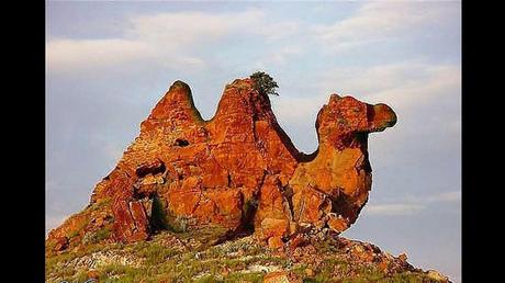 Divers - L'art dans la Nature - 1