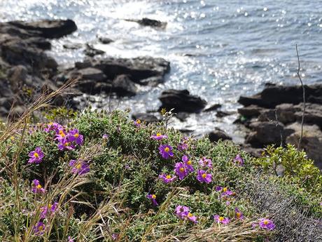 Carnet de voyage à Rhodes en avril