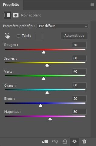 Transformer une photo en noir et blanc sur Photoshop