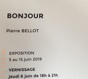 Galerie du CROUS Paris  exposition Pierre BELLOT 5/15 Juin 2019