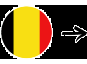 Critique: BRLO Naked Brasserie artisanale