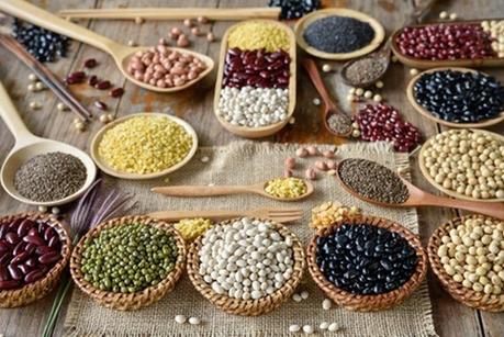 Source protéine végétale bio : quels sont les aliments riches en protéines végétales ? La liste où en trouver ! Source protéine végétale bio : quels sont les aliments riches en protéines végétales ? La liste où en trouver !