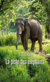 Affaire n°446: piste éléphants
