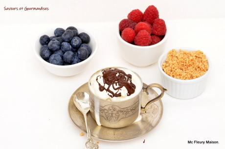 Mc Flurry Maison (glace sans sorbetière)