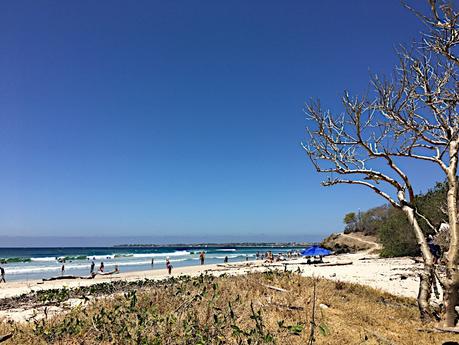 Une semaine à Sayulita au Mexique Une semaine à Sayulita au Mexique
