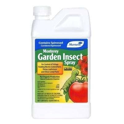 neem oil home depot garden insect spray with garden safe neem oil home depot