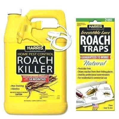 neem oil home depot home depot insecticides 1 gal roach killer and roach trap value pack home depot insecticides home depot insecticides garden safe neem oil extract home depot