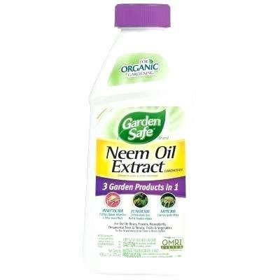 neem oil home depot oil extract concentrate neem oil home depot canada