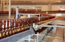 Assurance brasserie artisanale – MS Jackson et MS Hernando
 – Fabrication de bière