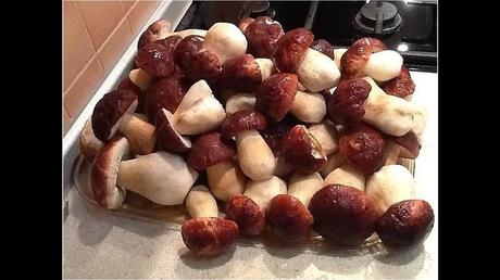 Divers - Une trop belle cueillette .....