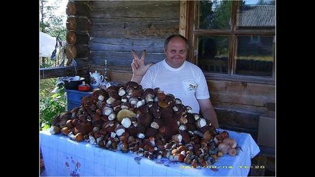 Divers - Une trop belle cueillette .....