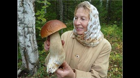 Divers - Une trop belle cueillette .....