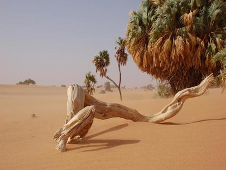 Pays Etranger - Le Tchad - 1