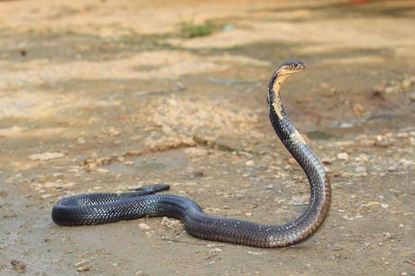 La Ballade de Jody & Jane