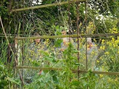 Retour sur la journée porte-ouverte du jardin pour la Fête de la nature