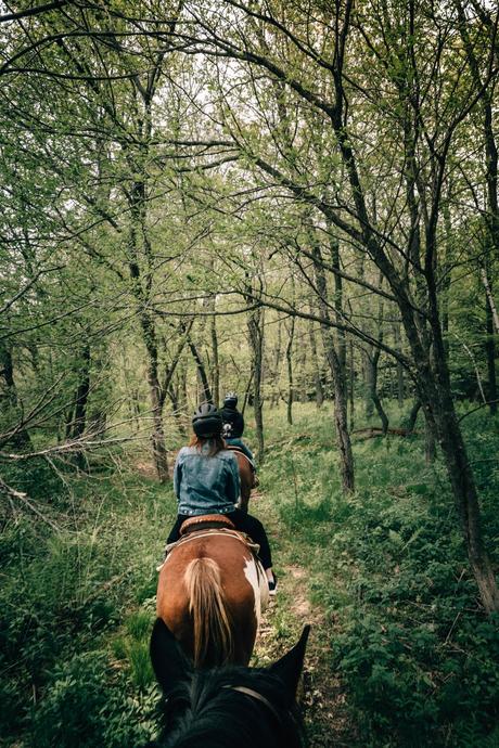 QUÉBEC | Un weekend dans les Cantons-de-l’Est