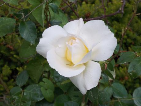 laisse de toi les mots descendre