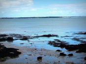 laisse mots descendre