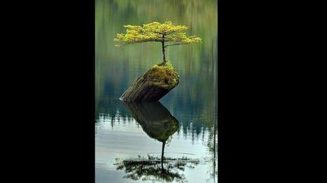 Divers - L'Art dans la Nature - 2