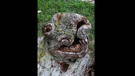 Divers - L'Art dans la Nature - 2