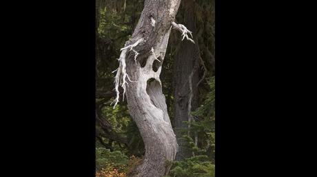 Divers - L'Art dans la Nature - 2