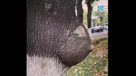 Divers - L'Art dans la Nature - 2