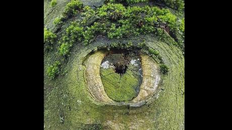 Divers - L'Art dans la Nature - 2