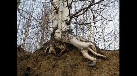 Divers - L'Art dans la Nature - 2