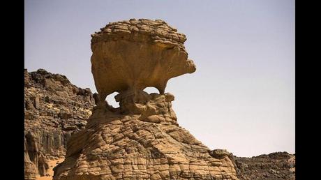 Divers - L'Art dans la Nature - 2