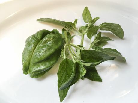 Couleurs du printemps – Salade d’asperges blanches, herbes fraîches et pickles de rhubarbe