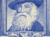 Feuilles brindilles américaines